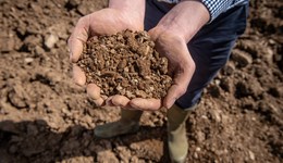 Monitor Farm Monday: Digging up the dirt on the soil health scorecard